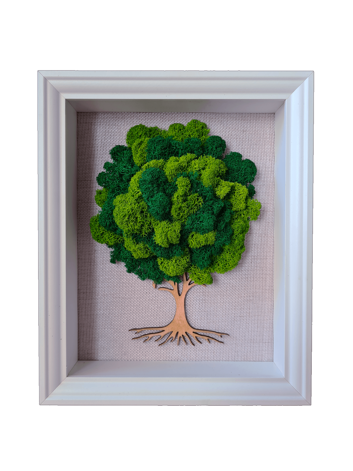 Classic Tree II
