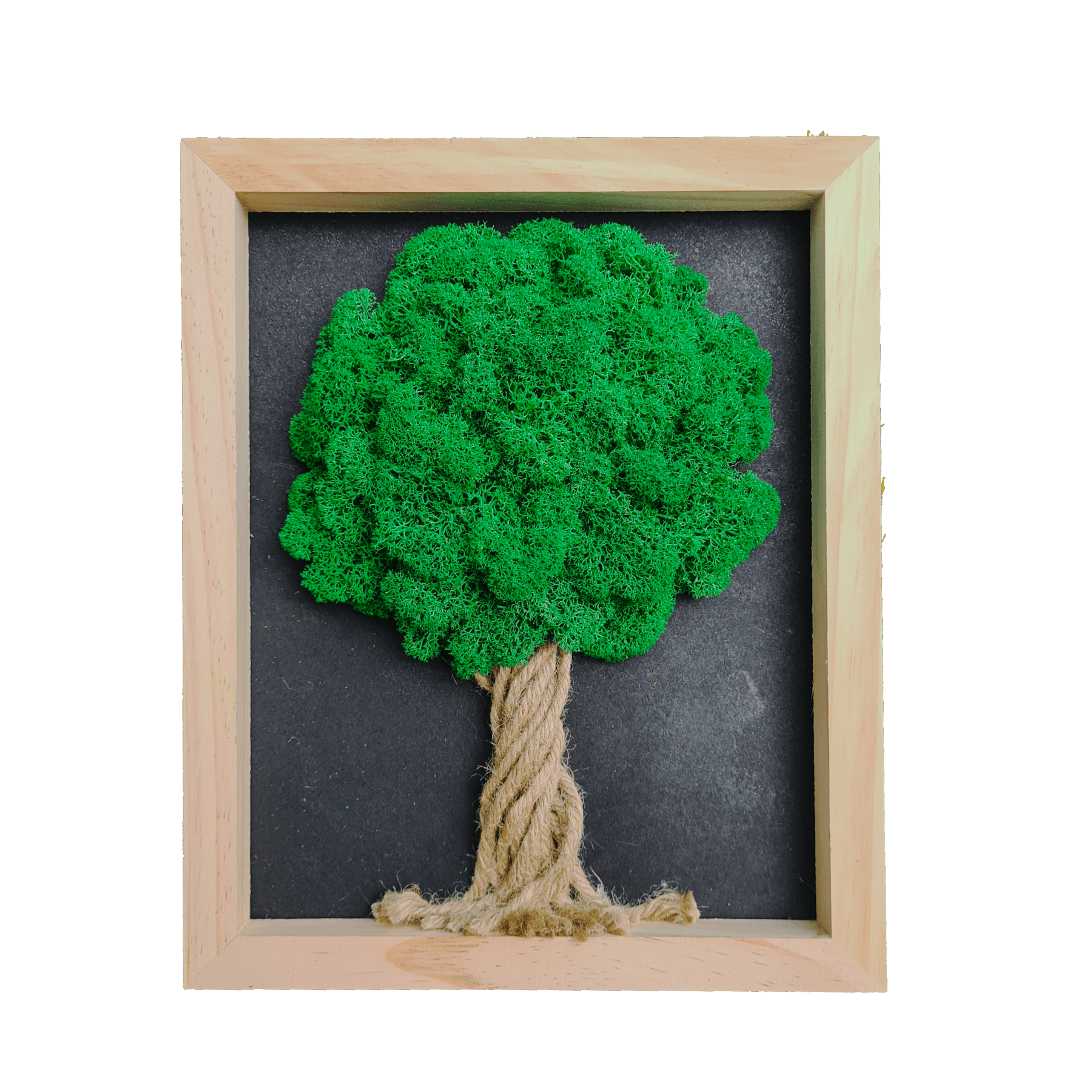 Minimal Tree Sfoara