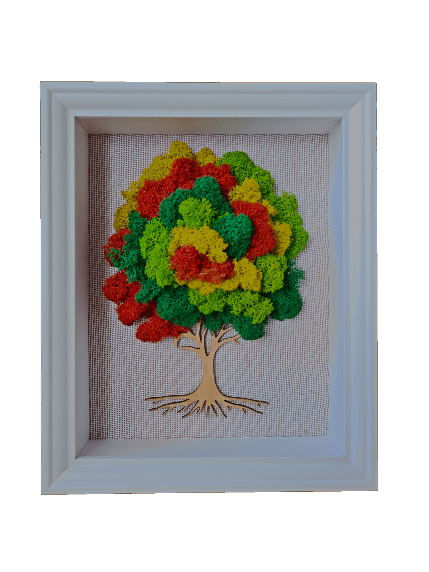 Summer Tree