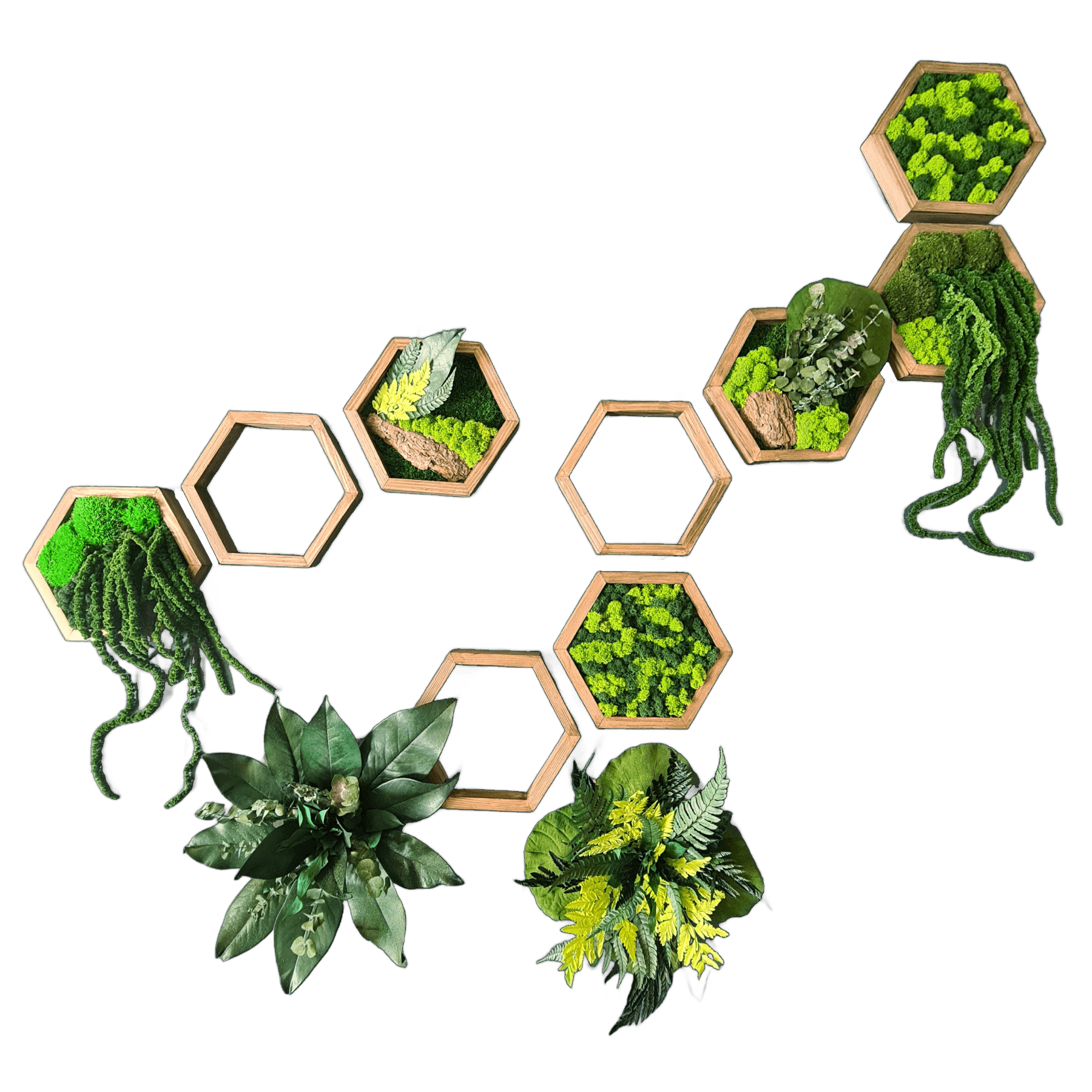 Wall Garden